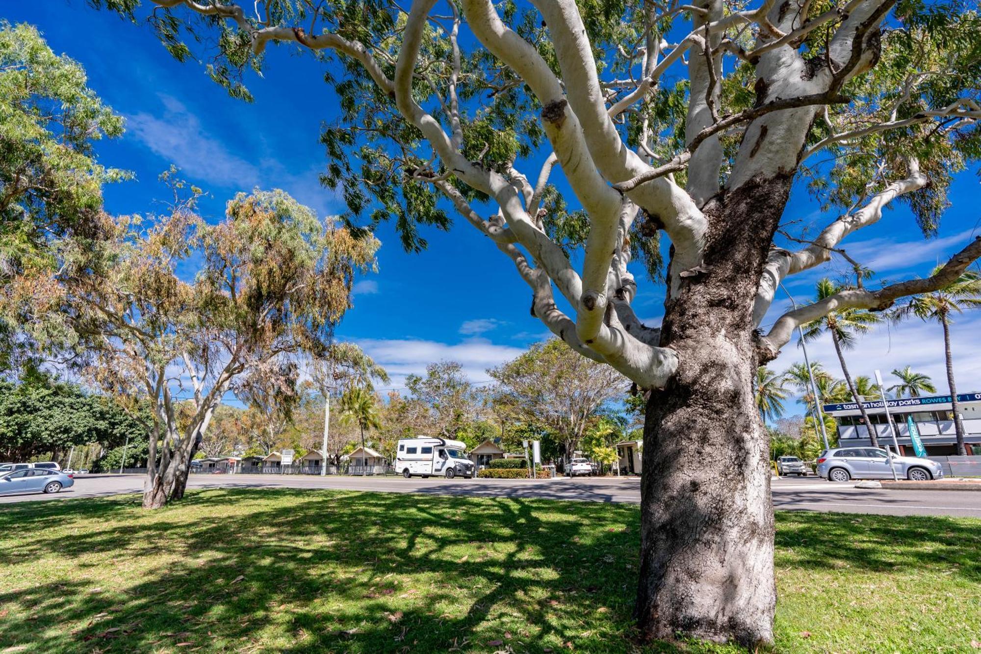Big4 Tasman Holiday Parks - Rowes Bay Townsville Zewnętrze zdjęcie